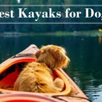 Best Kayaks for Dogs-sit