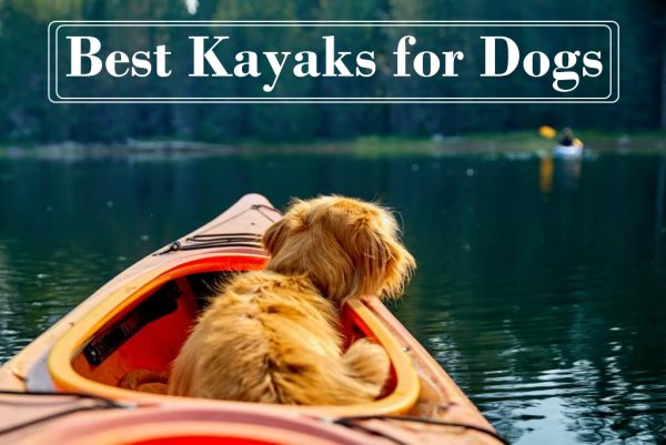 Best Kayaks for Dogs-sit