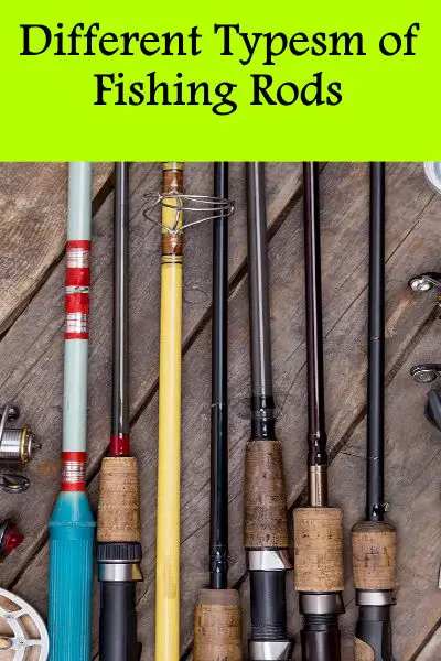 Different Types of Fishing Rods-1
