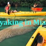 Kayaking in Miami-sit