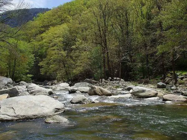 The Rocky River