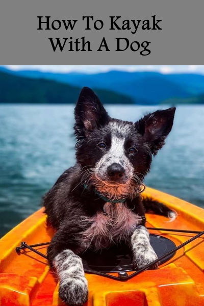 How To Kayak With A Dog pin