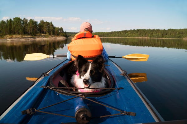 Tandem kayaks dog