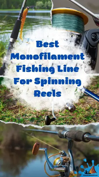 Best Monofilament Fishing Line For Spinning Reels pin