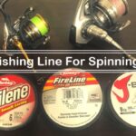 Best Fishing Line For Spinning Reels site