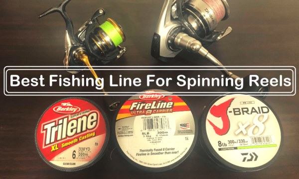 Best Fishing Line For Spinning Reels site