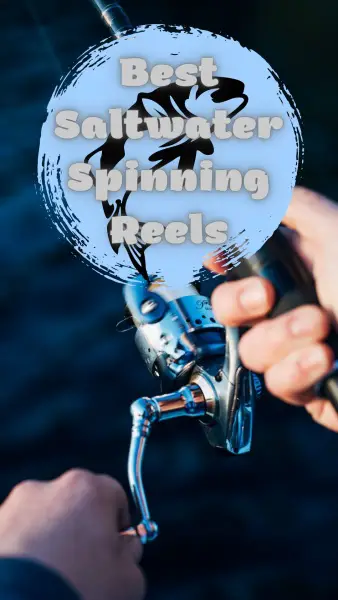 Best Saltwater Spinning Reels pin