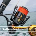 Best Saltwater Spinning Reels site