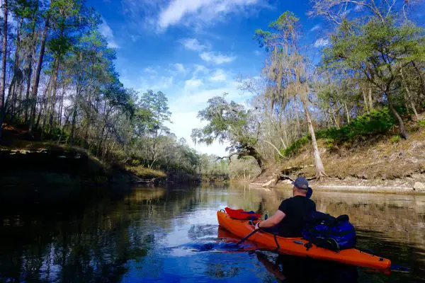 Suwannee River (best in North Florida)