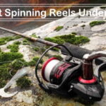 best-spinning-reels-site