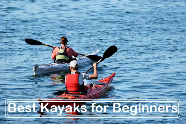 Best Kayaks for Beginners