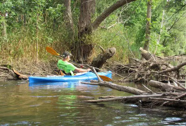 Obstacles in a log kayak