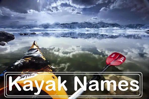 kayak names site