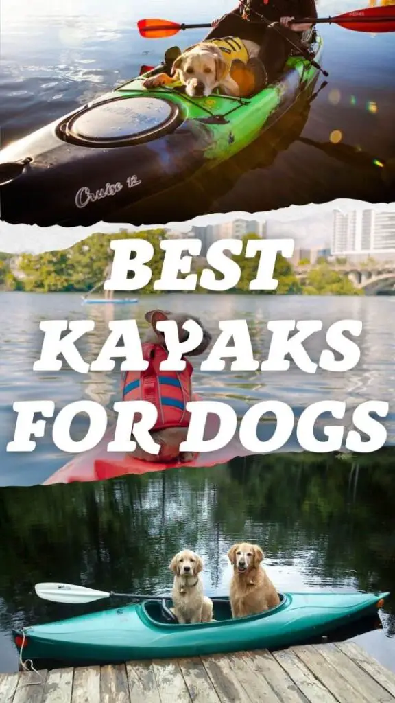 Best Kayaks for Dogs pin