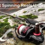 best-spinning-reels-768x516-1