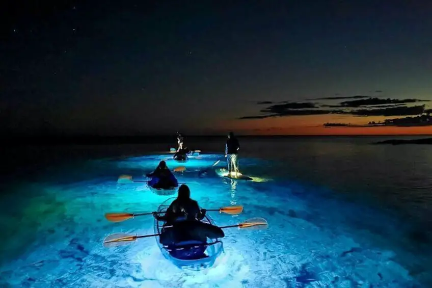 night kayaking Bioluminescence