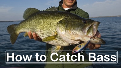 How to Catch Bass-site