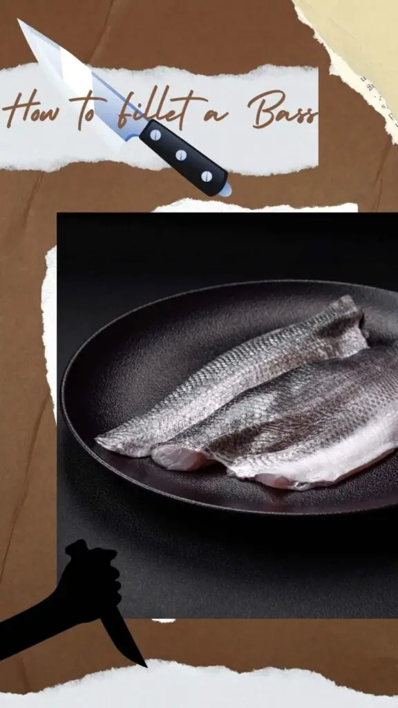 How to Fillet a Bass