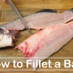 How to Fillet a Bass site